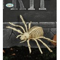 ESQUELETO ARAÑA 24 CMS