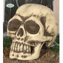 CALAVERA 32 CMS. FOAM