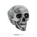 CALAVERA PVC 20 CMS