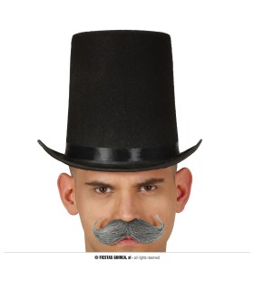 CHISTERA NEGRA FIELTRO ALTA 20 CMS.