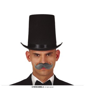 CHISTERA NEGRA FIELTRO ALTA 20 CMS.