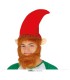 GORRO ELFO CON BARBA