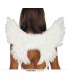 ALAS ANGEL PLUMAS