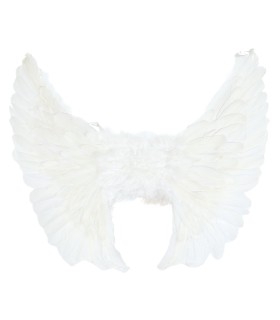 ALAS ANGEL PLUMAS