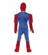 DISFRAZ DE SUPERHEROE MUSCULOSO