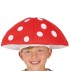 SET (SOMBRERO SETA Y CHALECO)