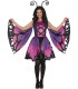 MARIPOSA  MORADA Y NEGRA  ADULTO
