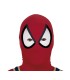 DISFRAZ DE SPIDER HERO ADULTO