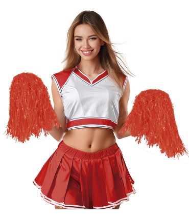 CARTON 2 POM-POM 80 GR. COLORES