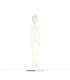 ESQUELETO FOSFORESCENTE 75 CMS.