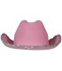 SOMBRERO COWBOY FIELTRO ROSA