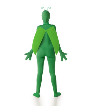 Disfraz de Insecto Verde Mujer