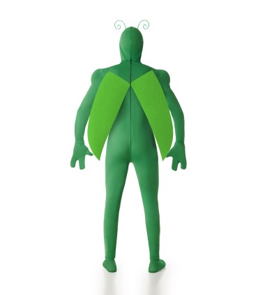 Disfraz de Insecto Verde Hombre