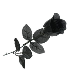 ROSA NEGRA 42 CMS.