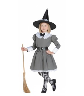DISFRAZ DE BRUJA GRIS SURESTE