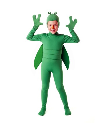 Disfraz de Bicho Verde Infantil Unisex | Megafiesta