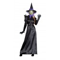 DISFRAZ DE BRUJA NEGRA GORRO DETALLES MORADOS